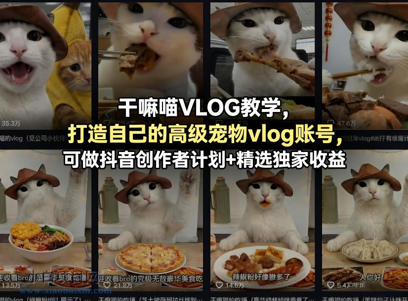 【小鲁分享网】干嘛喵VLOG教学，打造自己的高级宠物vlog账号，可做抖音创作者计划+精选独家收益-小白项目分享网