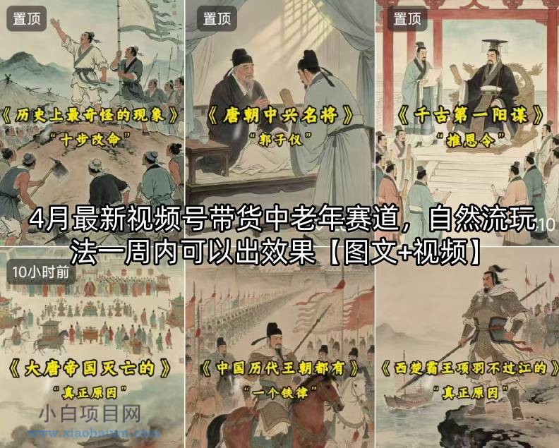 4月最新视频号带货中老年赛道，自然流玩法一周内可以出效果【图文+视频】-小白项目分享网