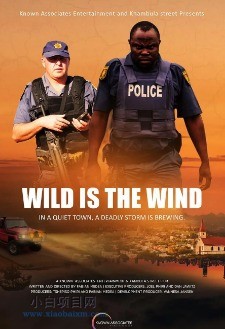 2022欧美犯罪片《狂风飒飒》网盘迅雷下载