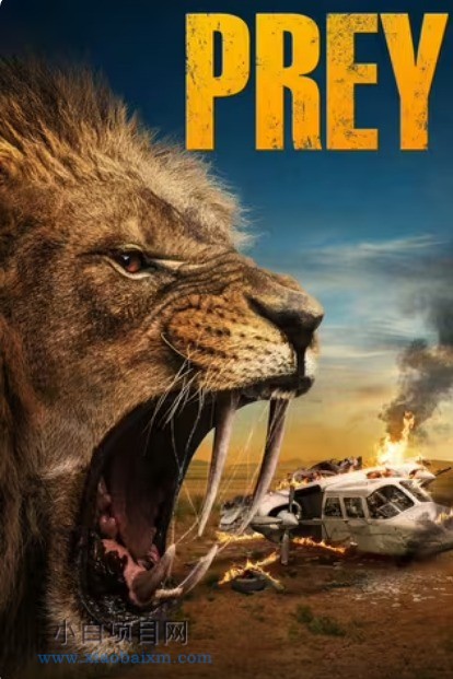 2024美国动作惊悚片《逃出卡拉哈里》高清下载