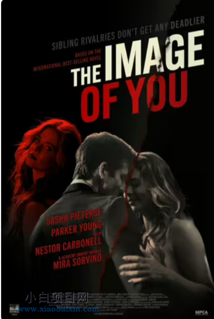 2024美国惊悚片《一模一样》高清下载