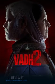 2026印度惊悚片《迟暮绝路2》夸克网盘下载