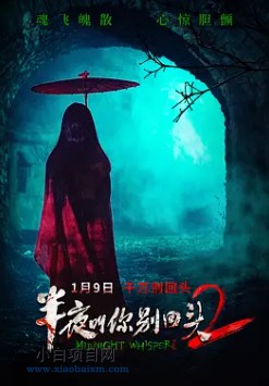 2026国产惊悚片《半夜叫你别回头2》夸克网盘下载