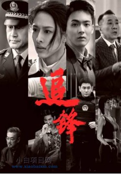 2026国产剧情片《追锋》夸克网盘下载